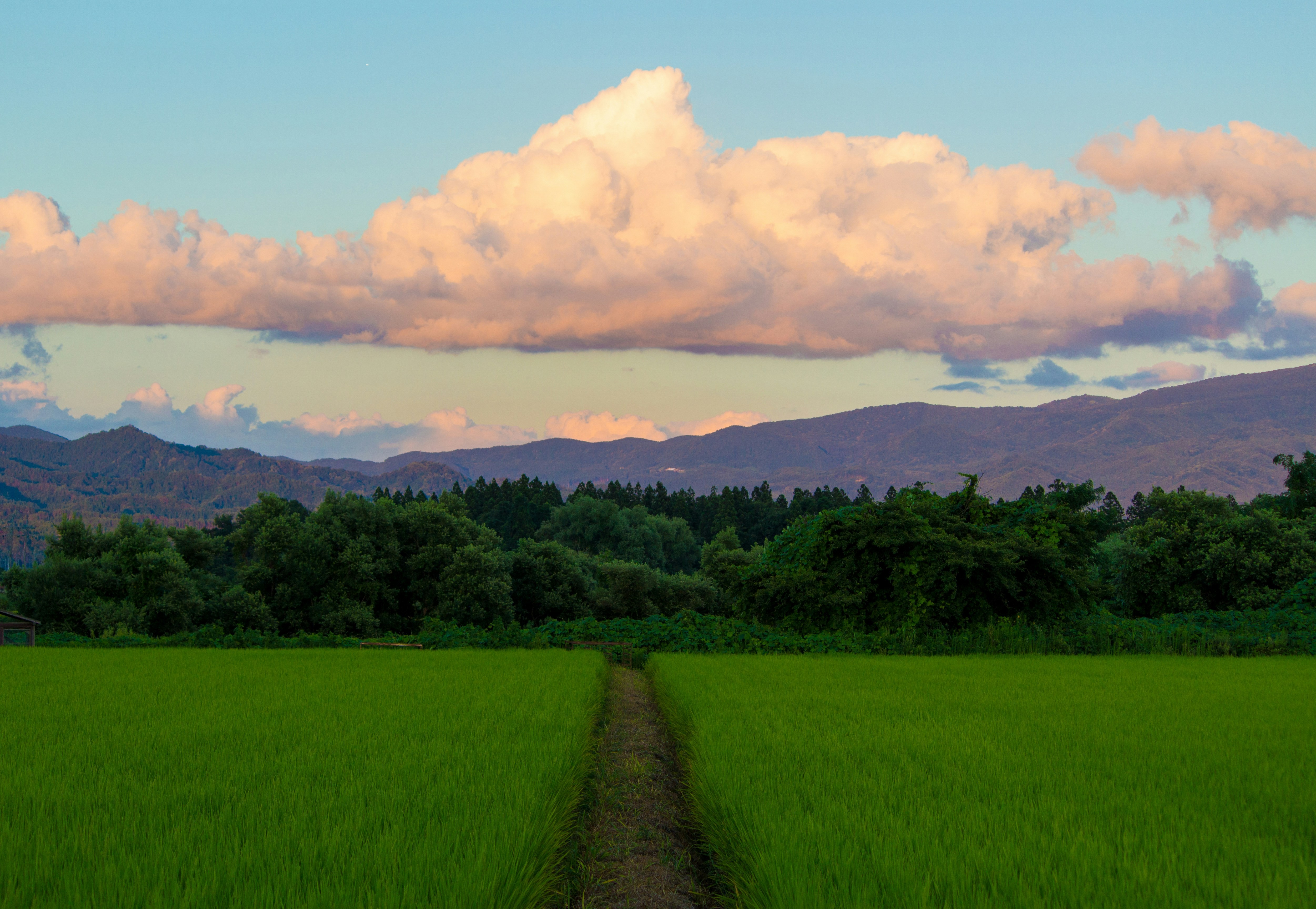 Explore Fukushima - Japan Travel, Asia