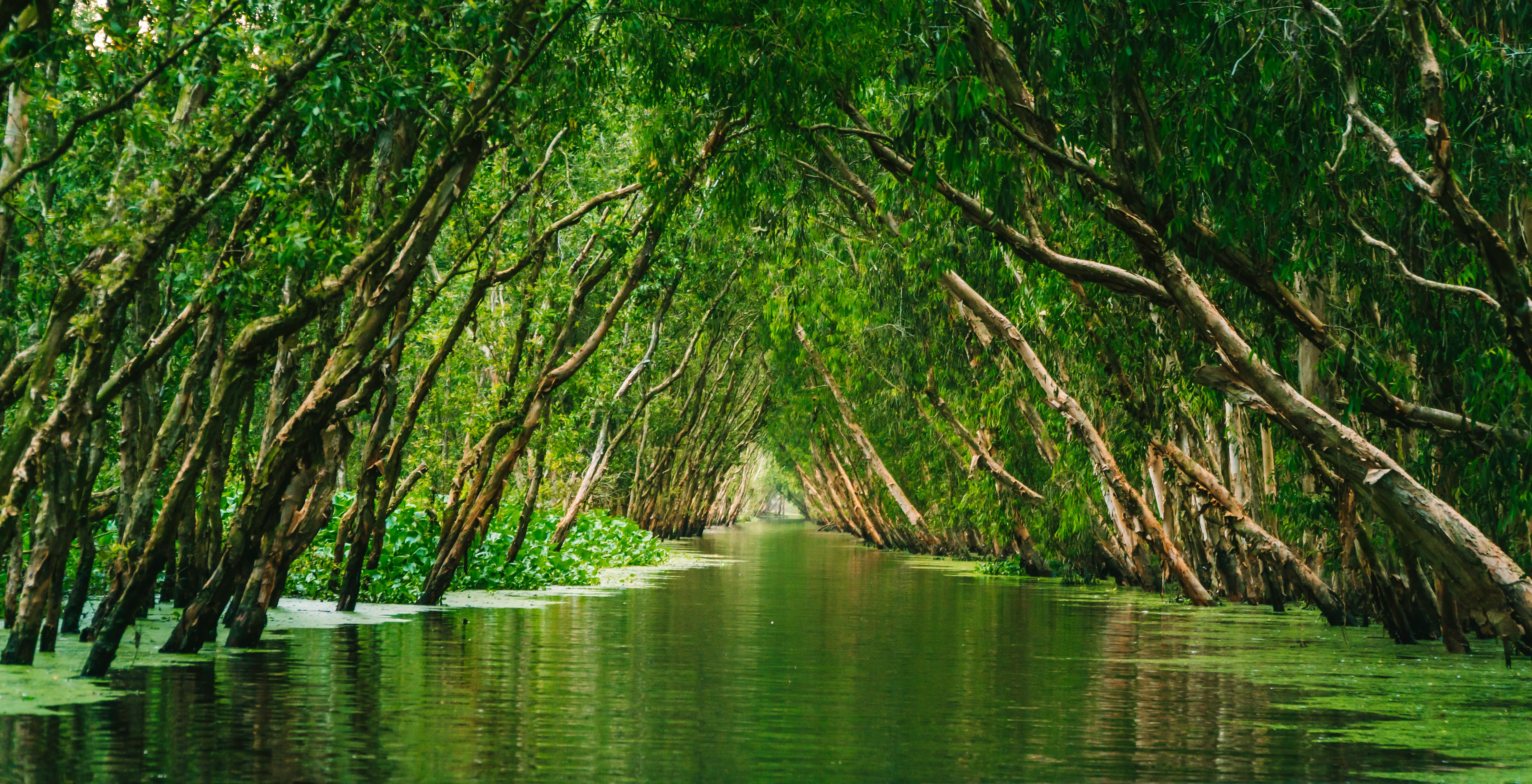 Explore Chau Doc - South Vietnam Travel, Asia
